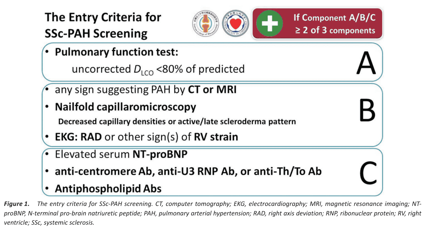 Figure 1 SSc-PAH screening entry criteria