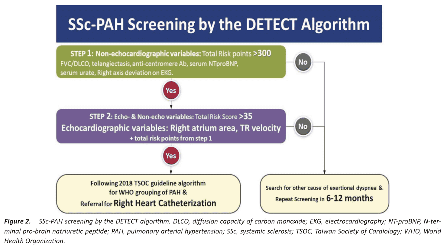 Figure 2 DETECT algorithm