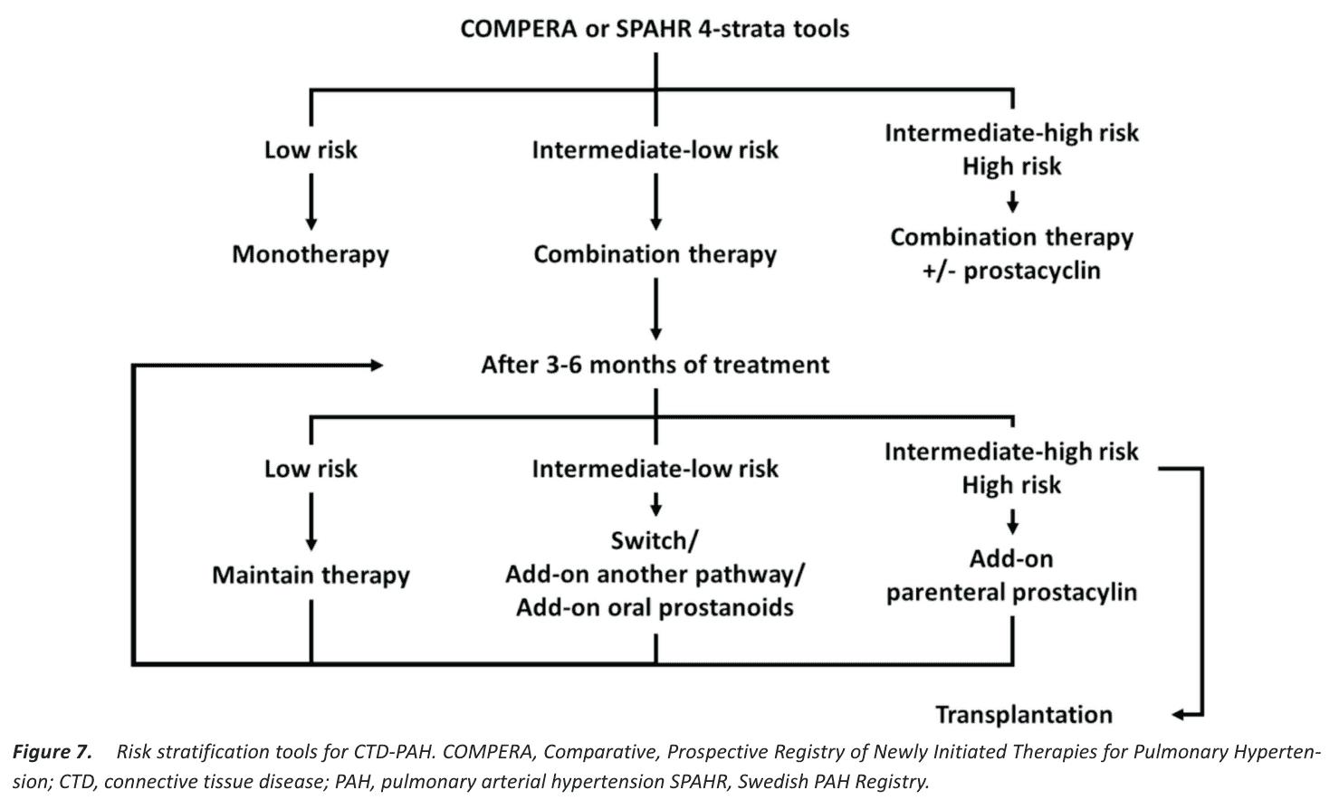 Figure 7 risk stratification tools CTD-PAH