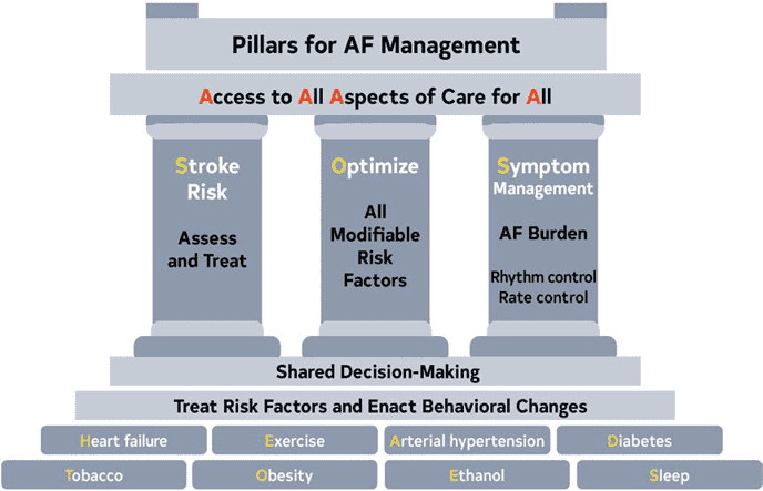 2023 ACC/AHA AF — Figure 5 Pillars for AF Management