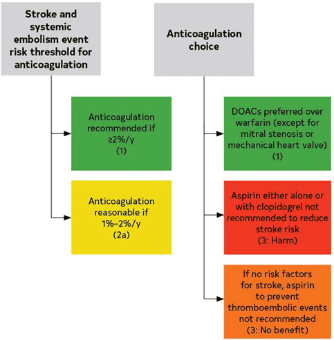 2023 ACC/AHA AF — Figure 10 Antithrombotic Options in Patients With AF