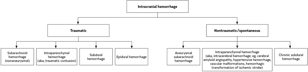 2023 ACC/AHA AF — Figure 14 Forms of ICH Classified by Mechanism