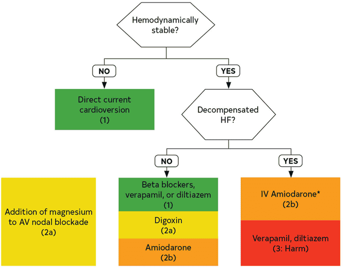 2023 ACC/AHA AF — Figure 17 Acute Rate Control in AF With RVR
