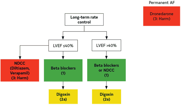 2023 ACC/AHA AF — Figure 18 AF Long-Term Rate Control