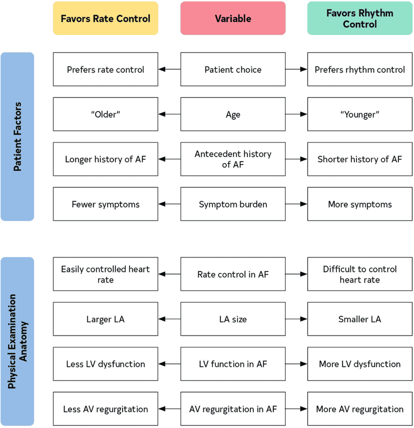 2023 ACC/AHA AF — Figure 19 Choosing Between Rhythm and Rate Control