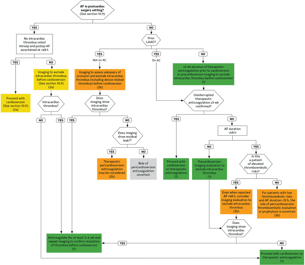 2023 ACC/AHA AF — Figure 21 Anticoagulation Around Cardioversion