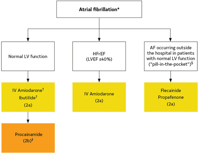 2023 ACC/AHA AF — Figure 22 Pharmacological Conversion of AF
