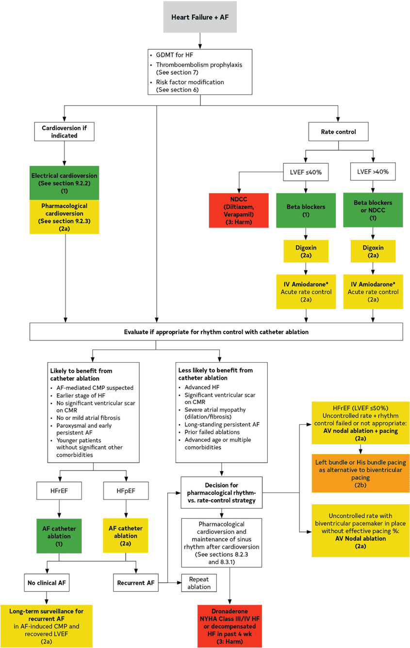 2023 ACC/AHA AF — Figure 24 Management of Patients With HF and AF