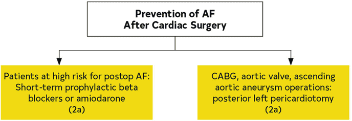 2023 ACC/AHA AF — Figure 25 Prevention of AF After Cardiac Surgery