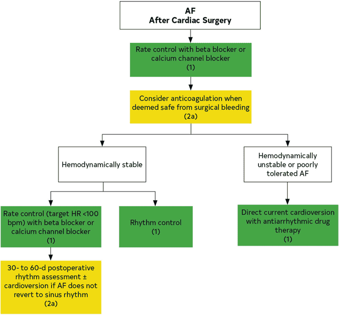 2023 ACC/AHA AF — Figure 26 Treatment of AF After Cardiac Surgery