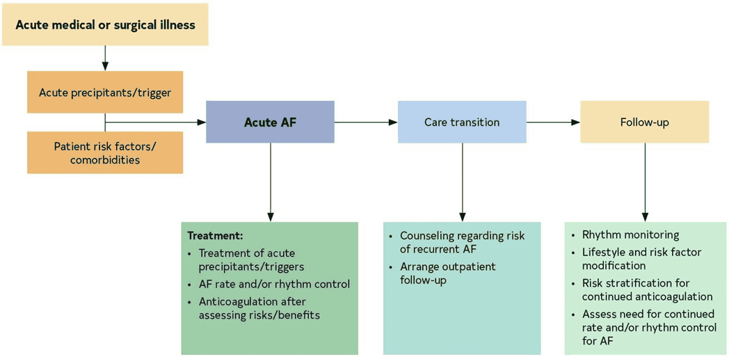 2023 ACC/AHA AF — Figure 28 AF During Acute Medical or Surgical Illness