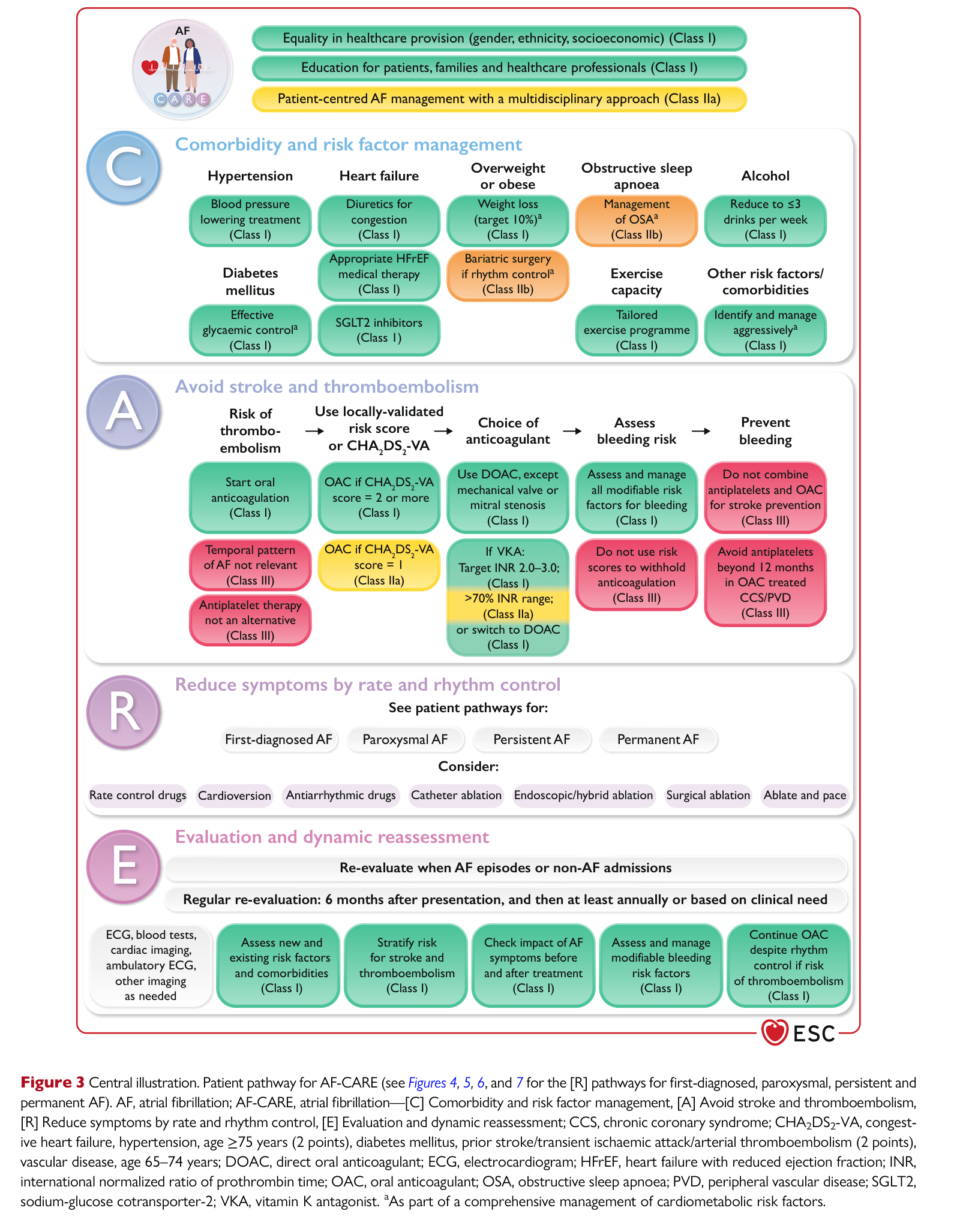 ESC 2024 AF — Figure 3 Central illustration: Patient pathway for AF-CARE