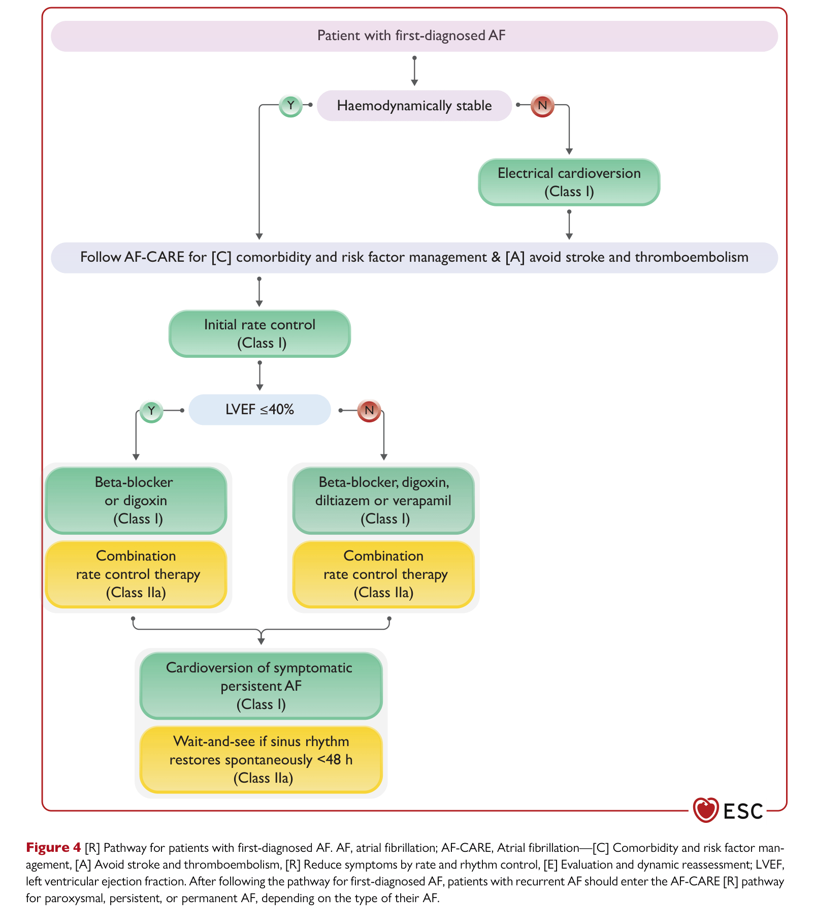 ESC 2024 AF — Figure 4 First-diagnosed AF pathway
