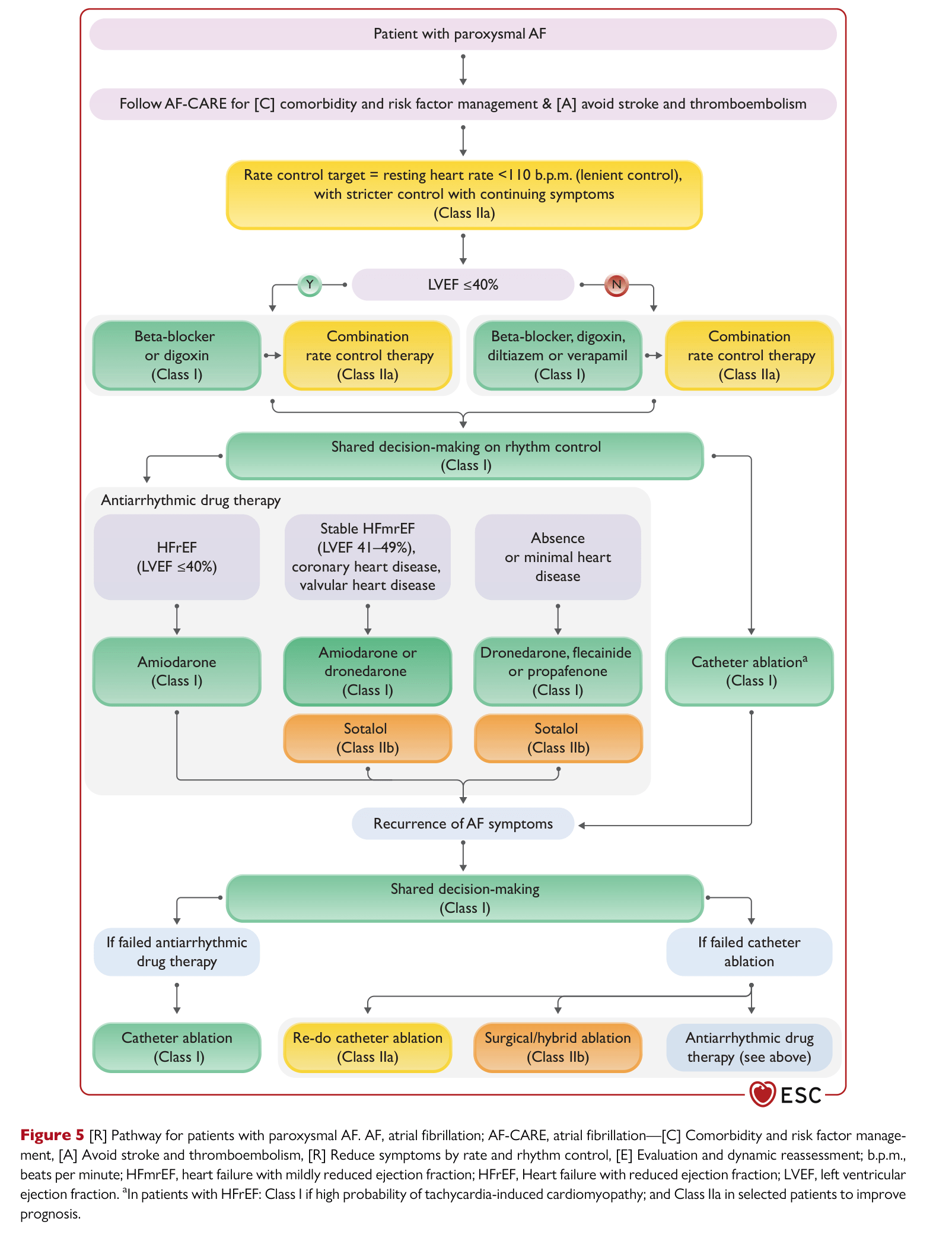 ESC 2024 AF — Figure 5 Paroxysmal AF pathway