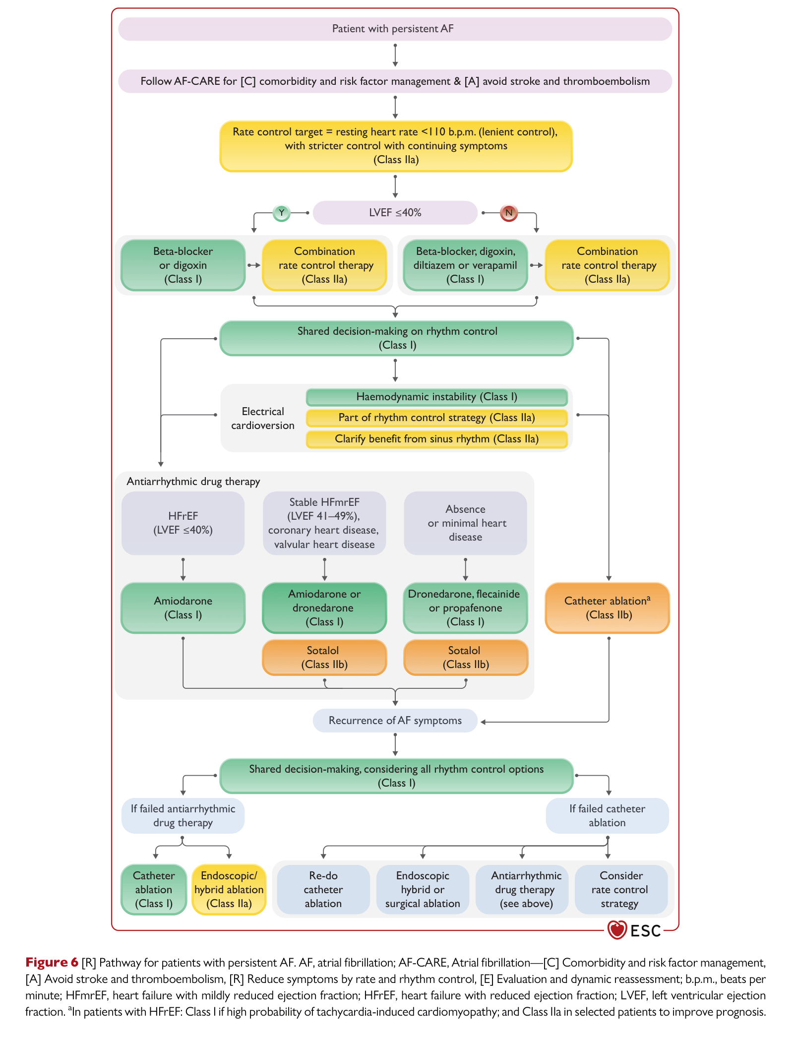 ESC 2024 AF — Figure 6 Persistent AF pathway