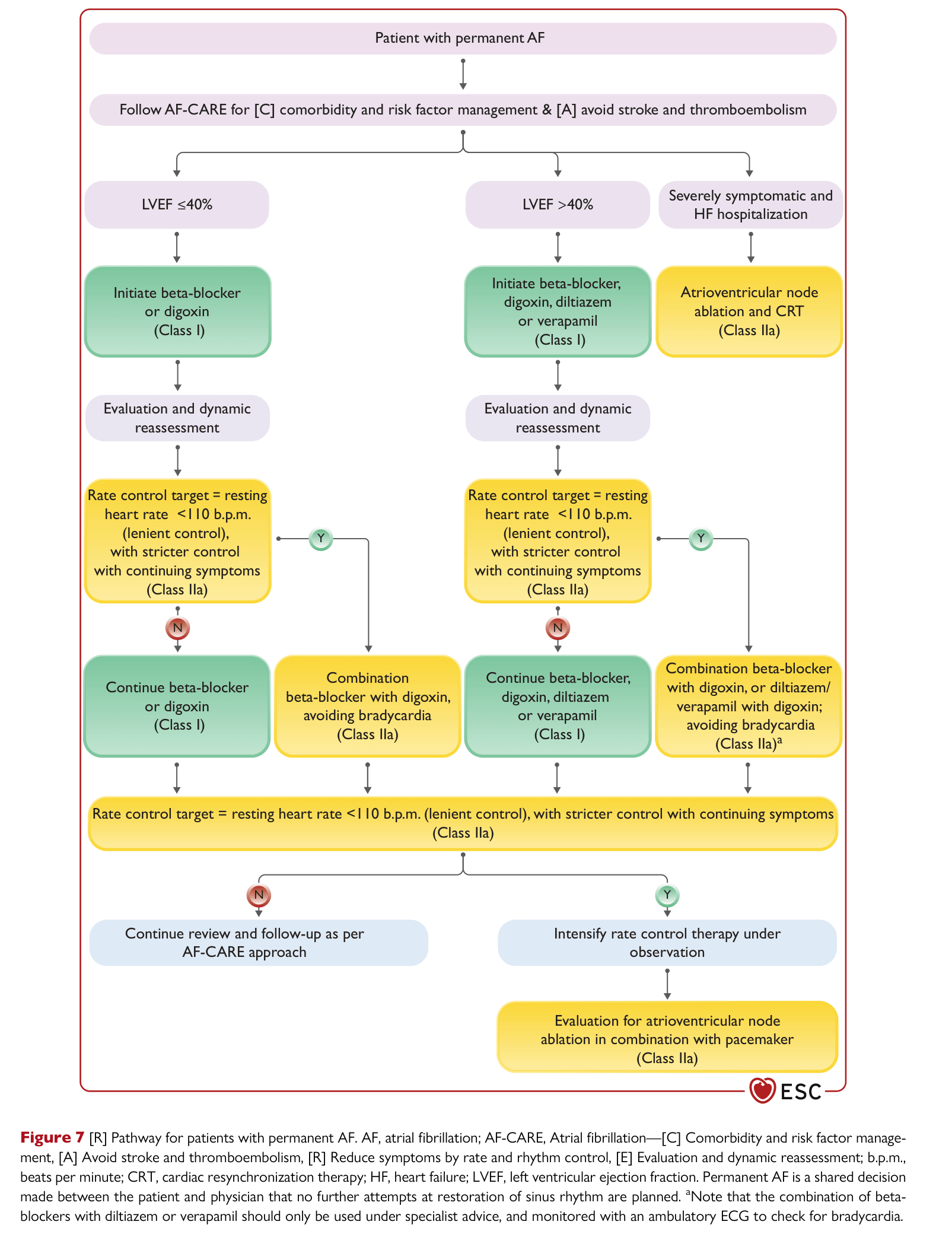 ESC 2024 AF — Figure 7 Permanent AF pathway