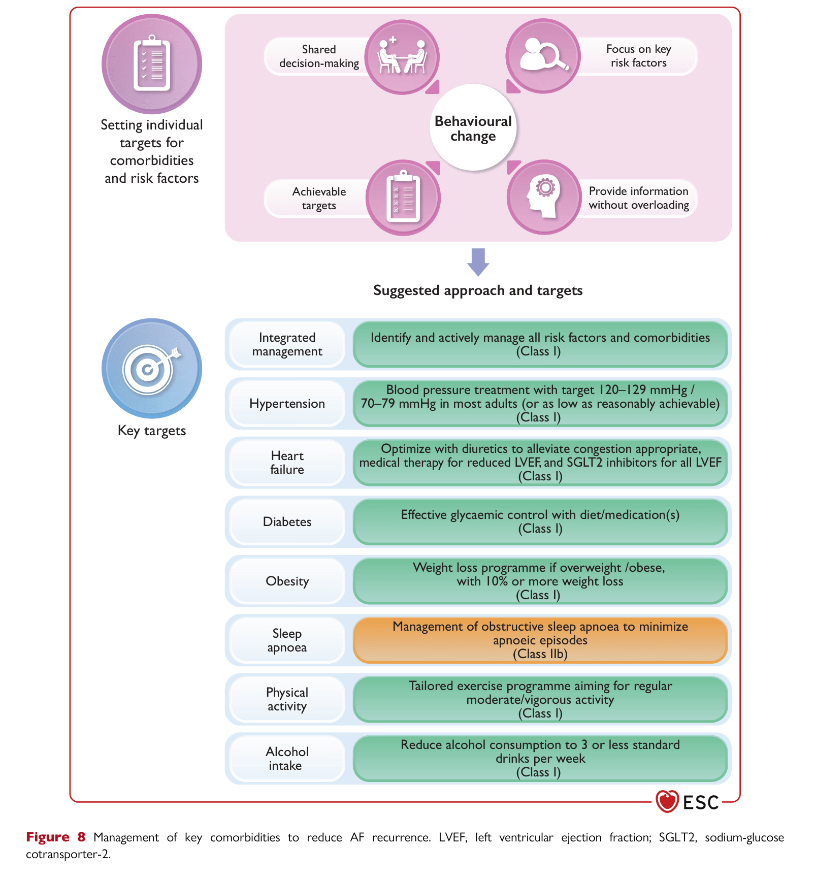 ESC 2024 AF — Figure 8 Management of key comorbidities