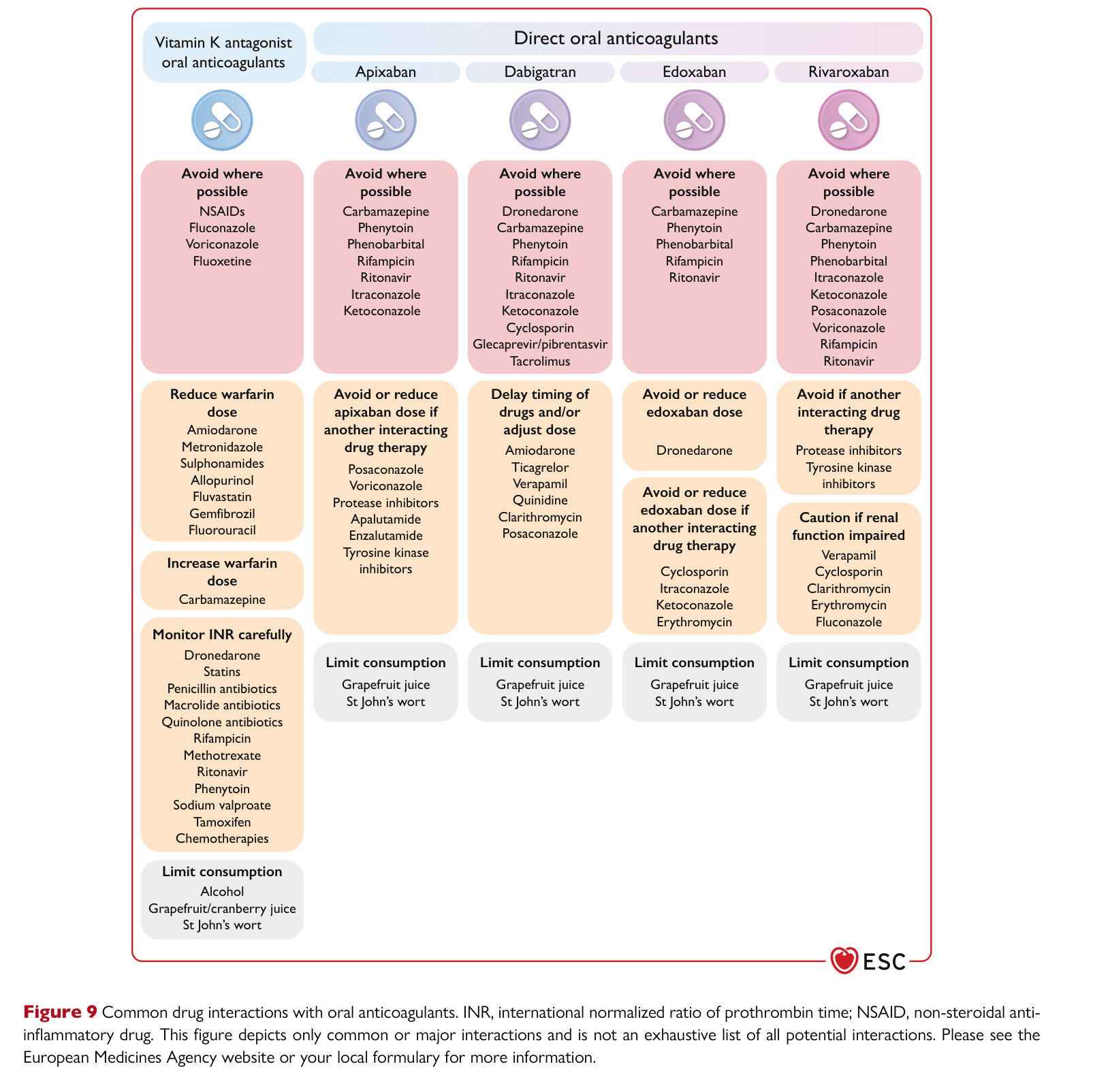 ESC 2024 AF — Figure 9 Common drug interactions with oral anticoagulants