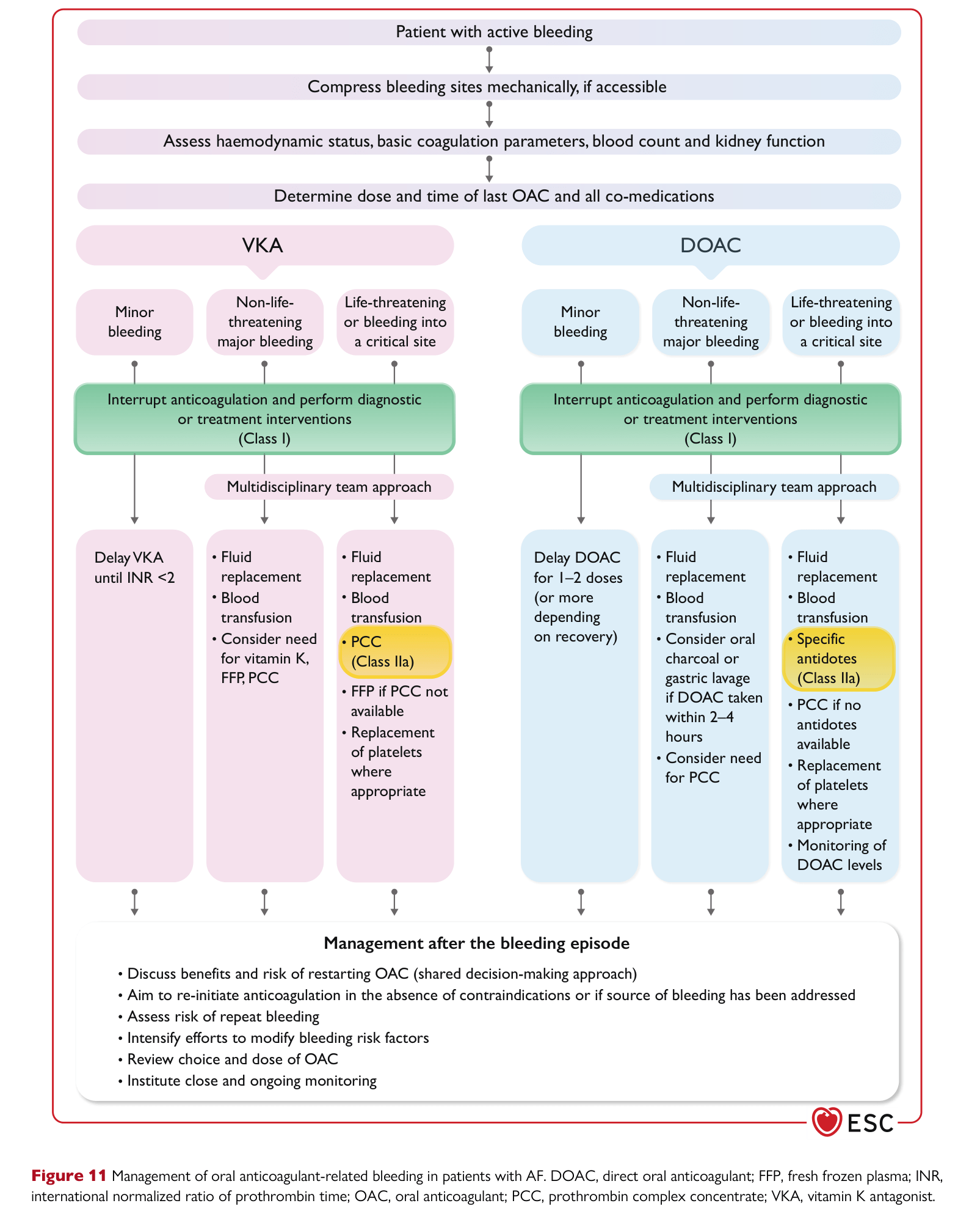 ESC 2024 AF — Figure 11 OAC-related bleeding management