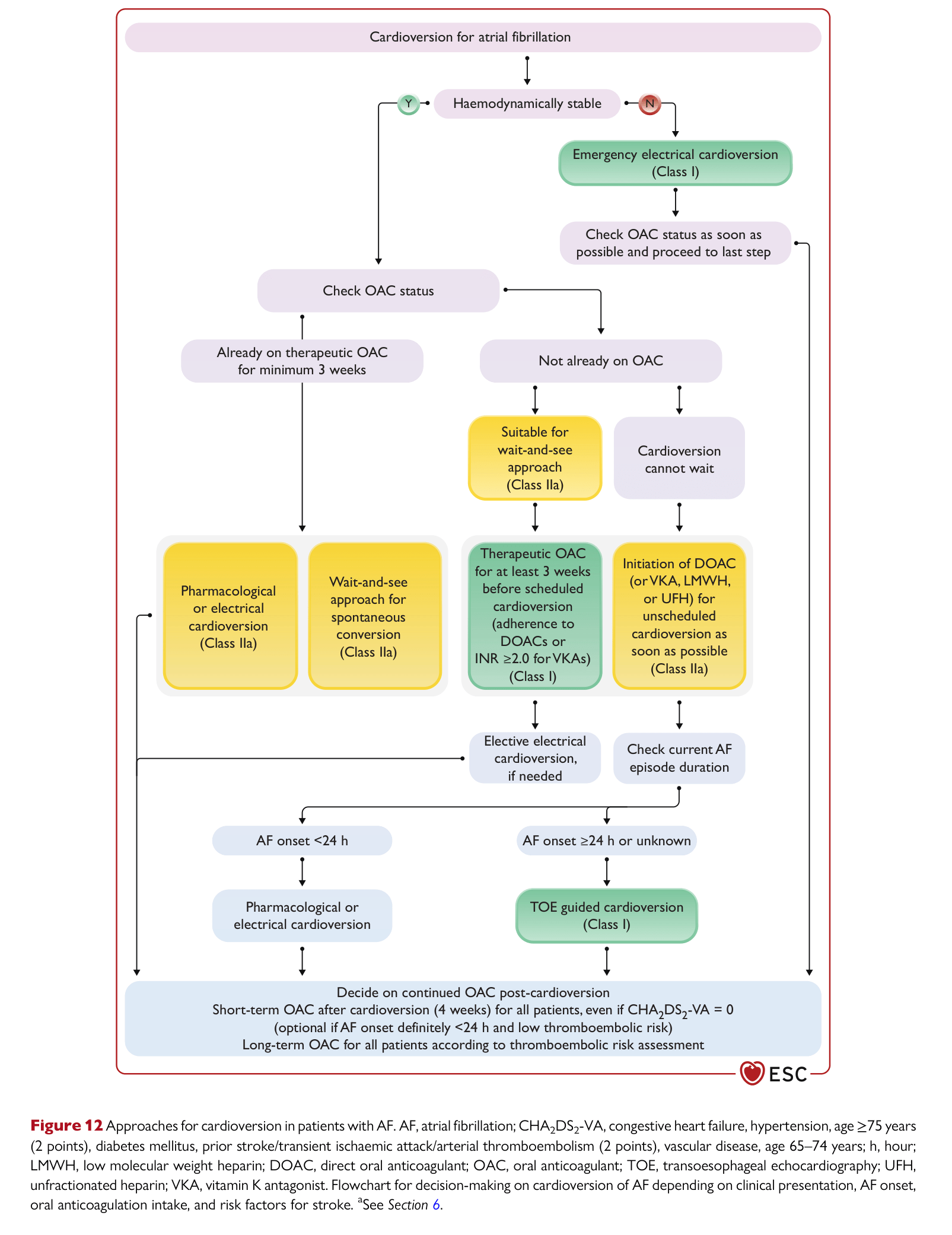 ESC 2024 AF — Figure 12 Approaches for cardioversion in patients with AF