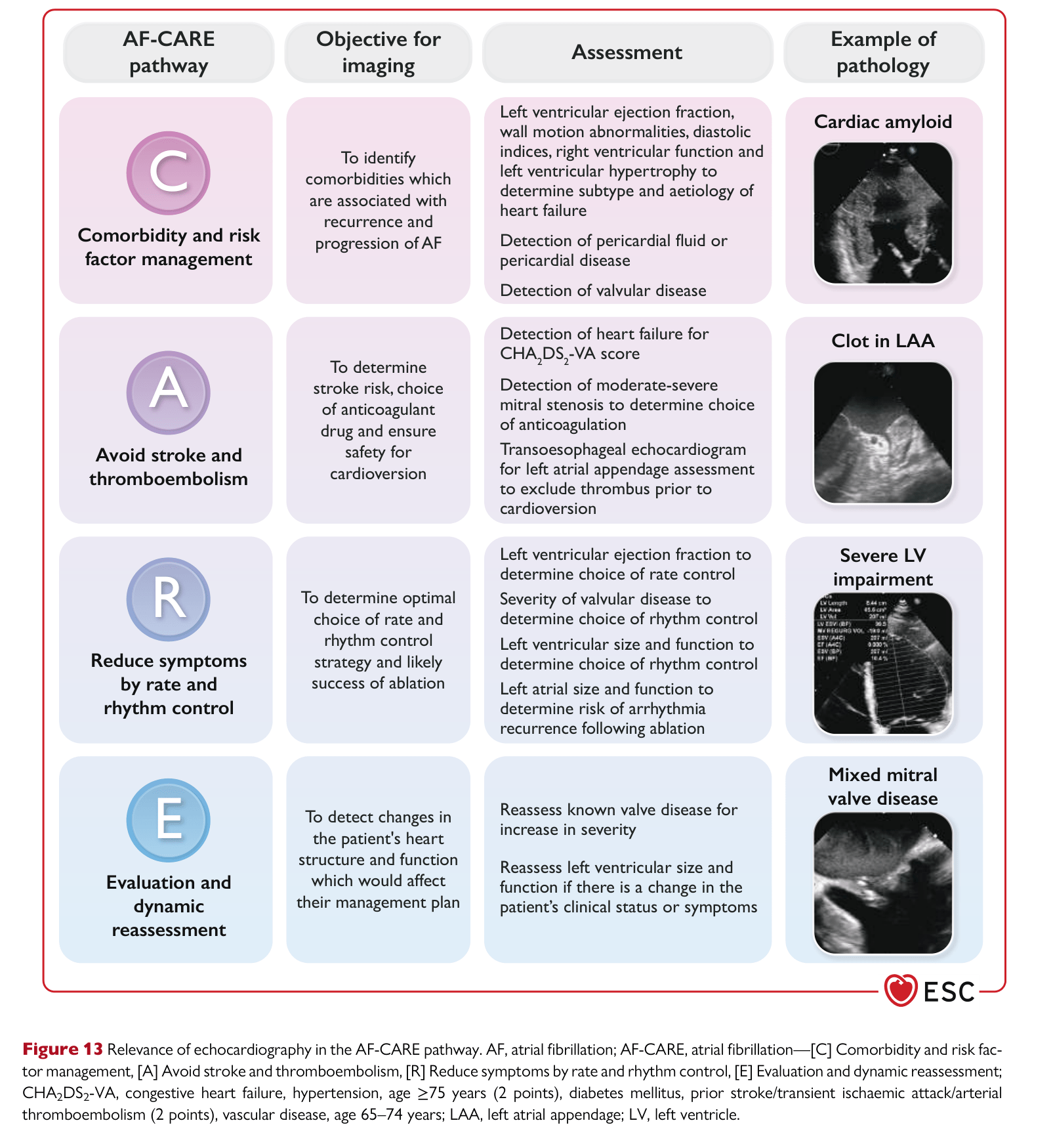 ESC 2024 AF — Figure 13 Echocardiography role in AF-CARE pathway