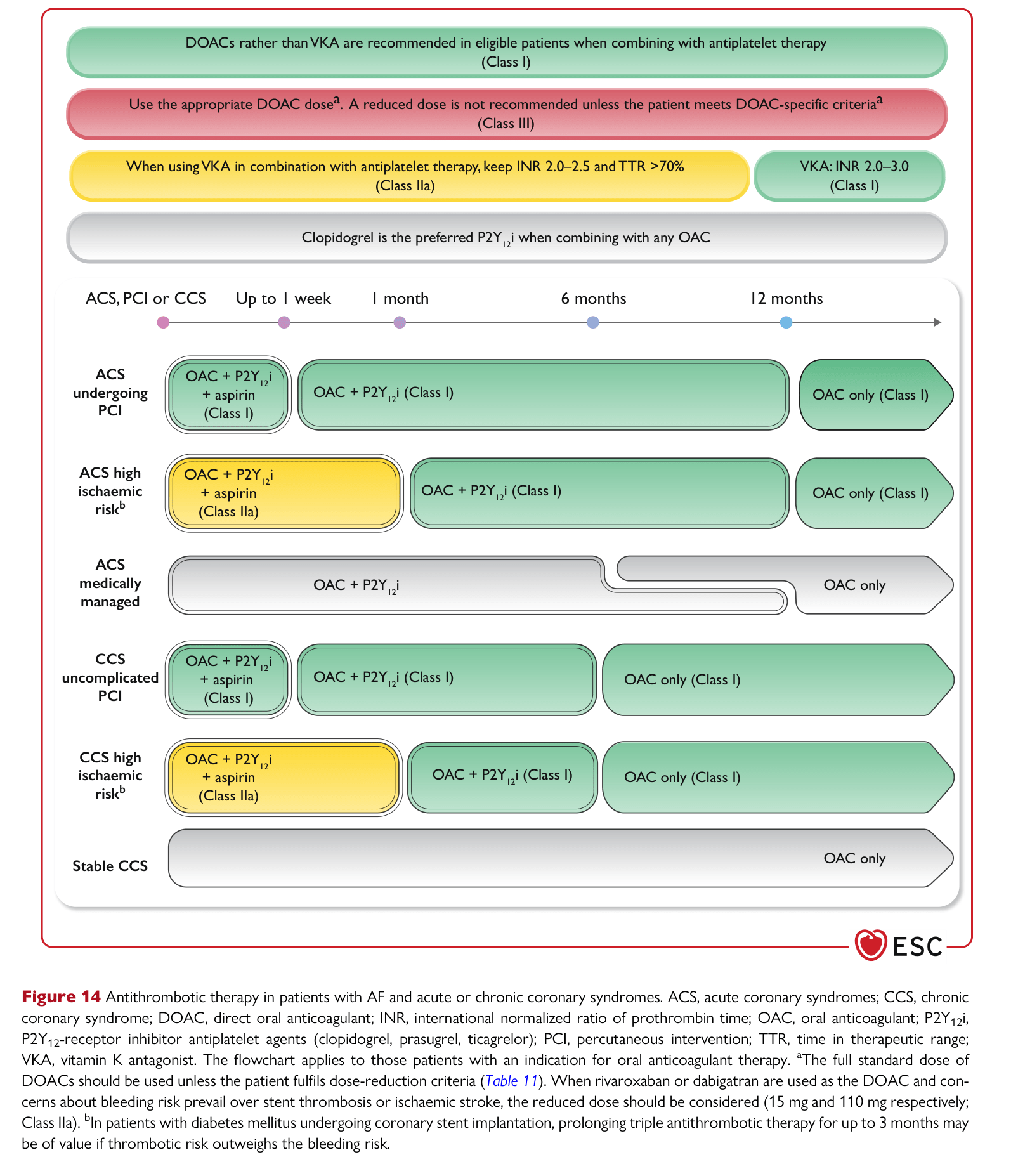 ESC 2024 AF — Figure 14 Antithrombotic therapy in AF with acute or chronic coronary syndromes