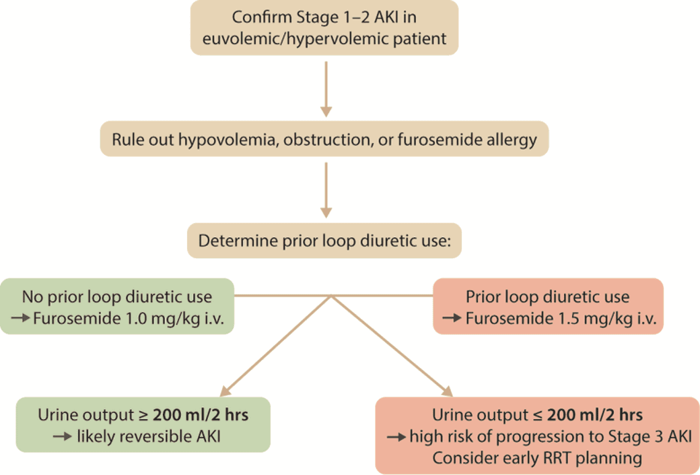 KDIGO 2026 AKI/AKD — Figure 7