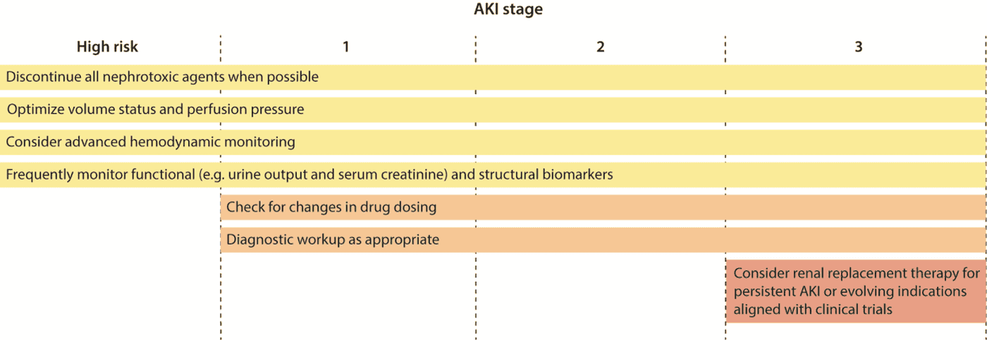 KDIGO 2026 AKI/AKD — Figure 9