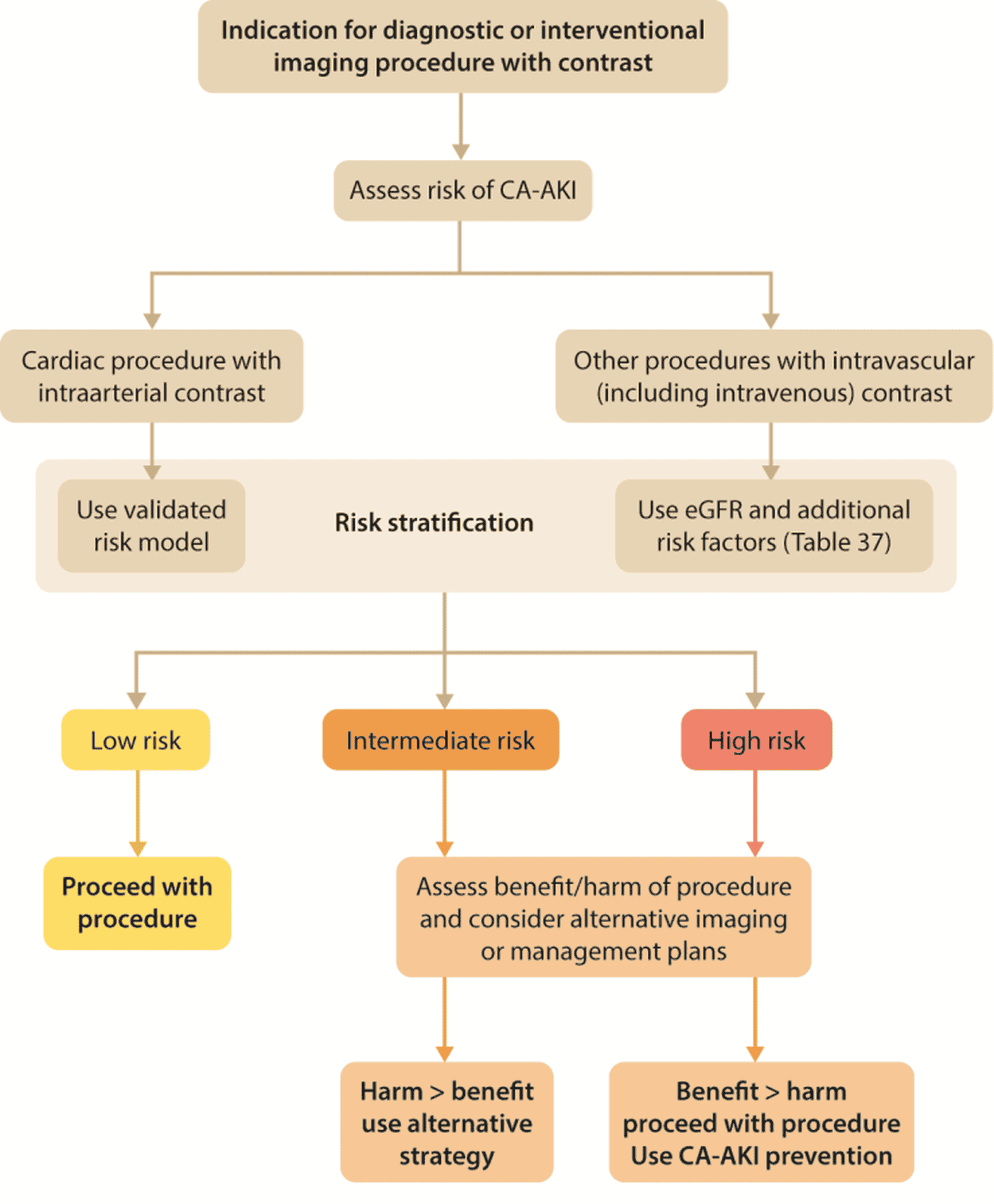 KDIGO 2026 AKI/AKD — Figure 12