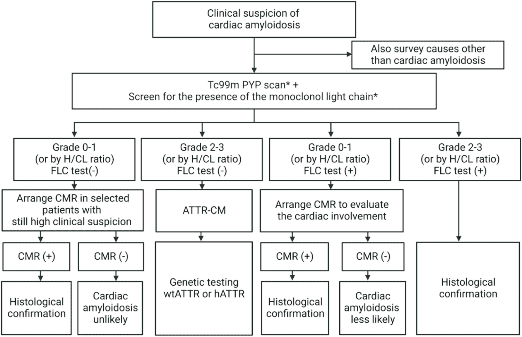 Amyloidosis 共識 — Figure 5 診斷流程