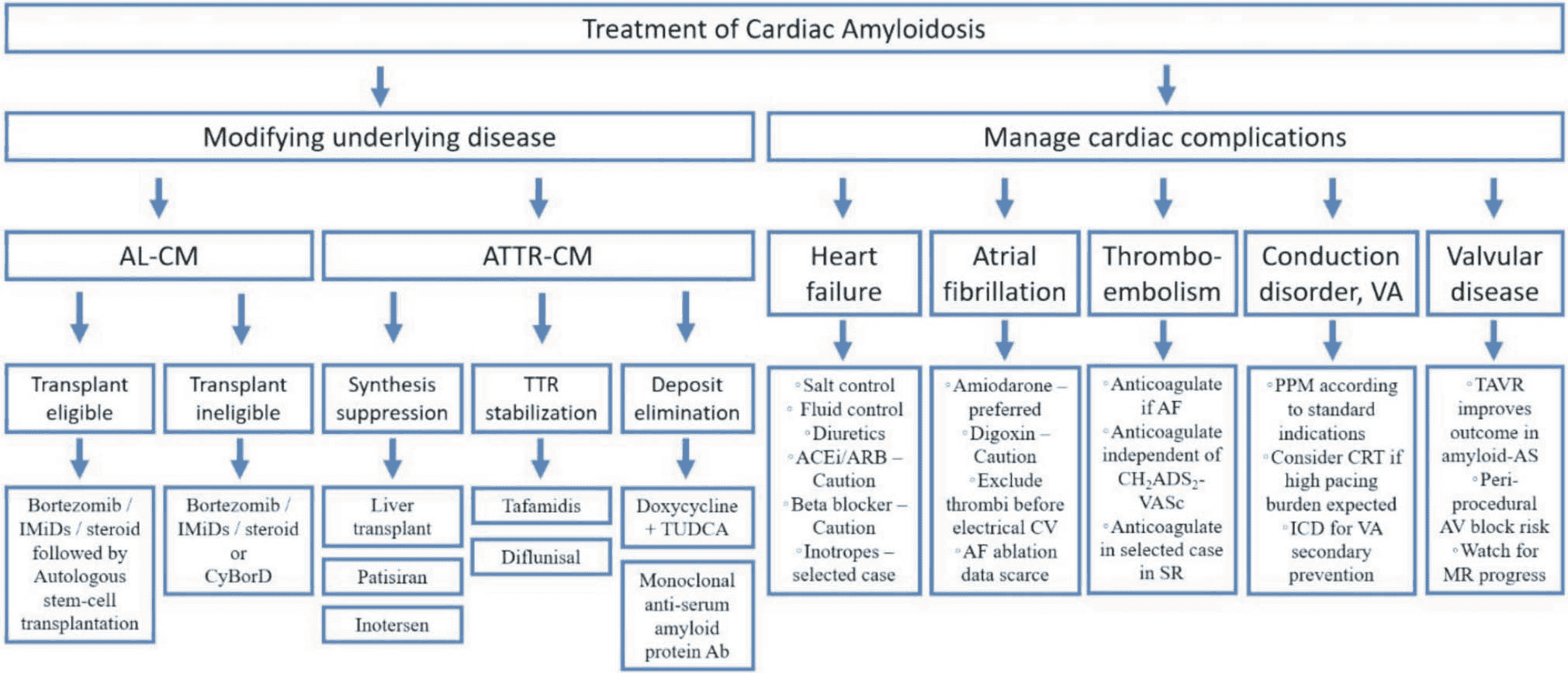 Amyloidosis 共識 — Figure 6 治療