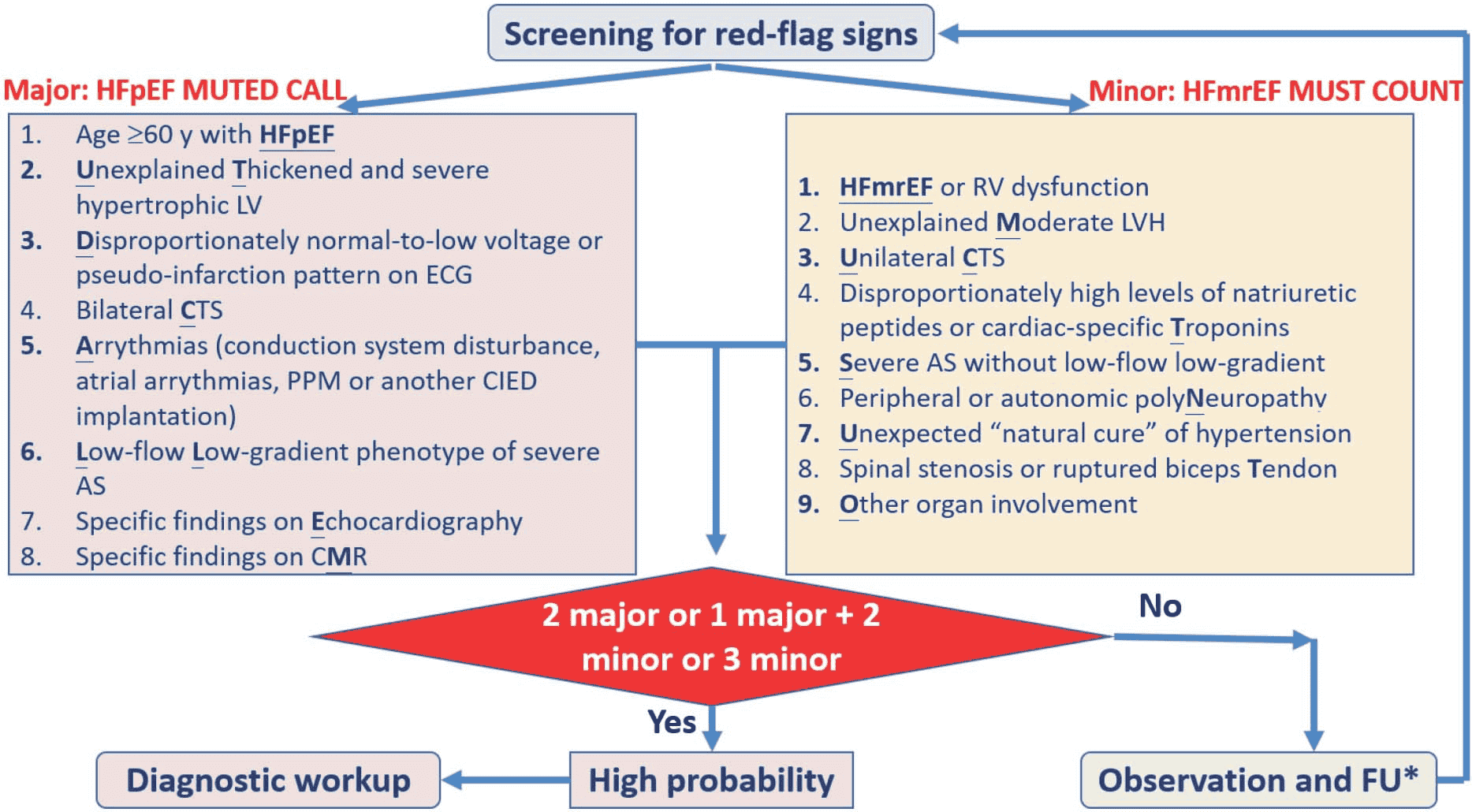 Amyloidosis 共識 — 紅旗篩檢圖