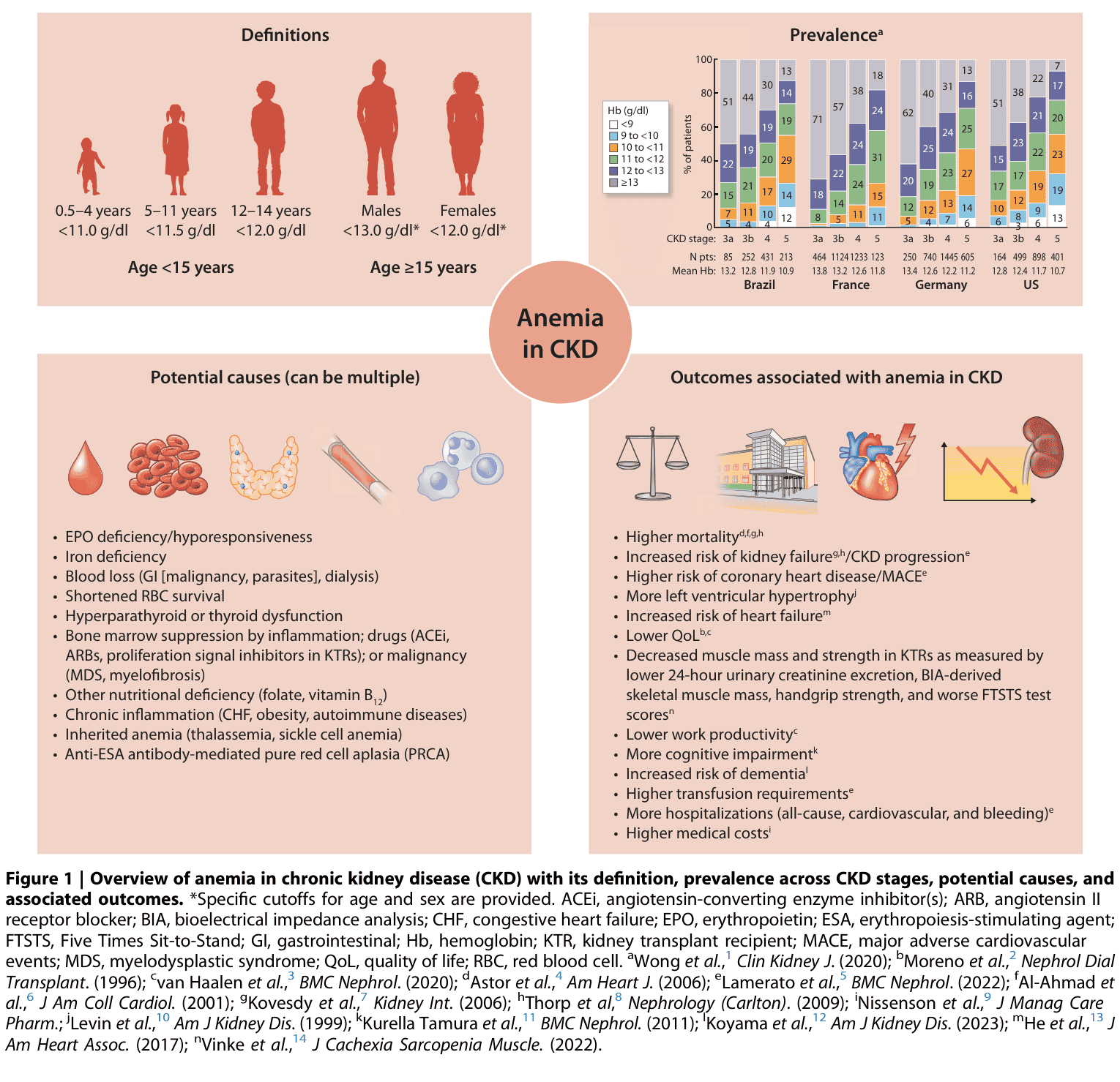 KDIGO anemia — Figure 1 貧血總覽