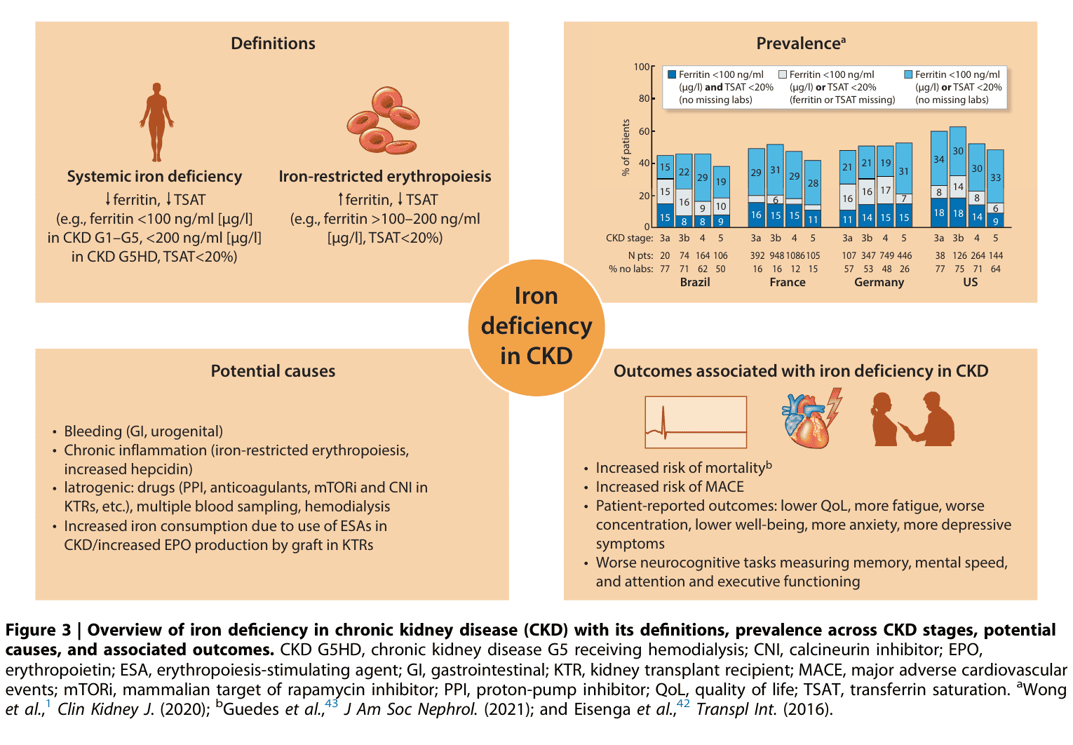 KDIGO anemia — Figure 3 CKD 鐵缺乏總覽