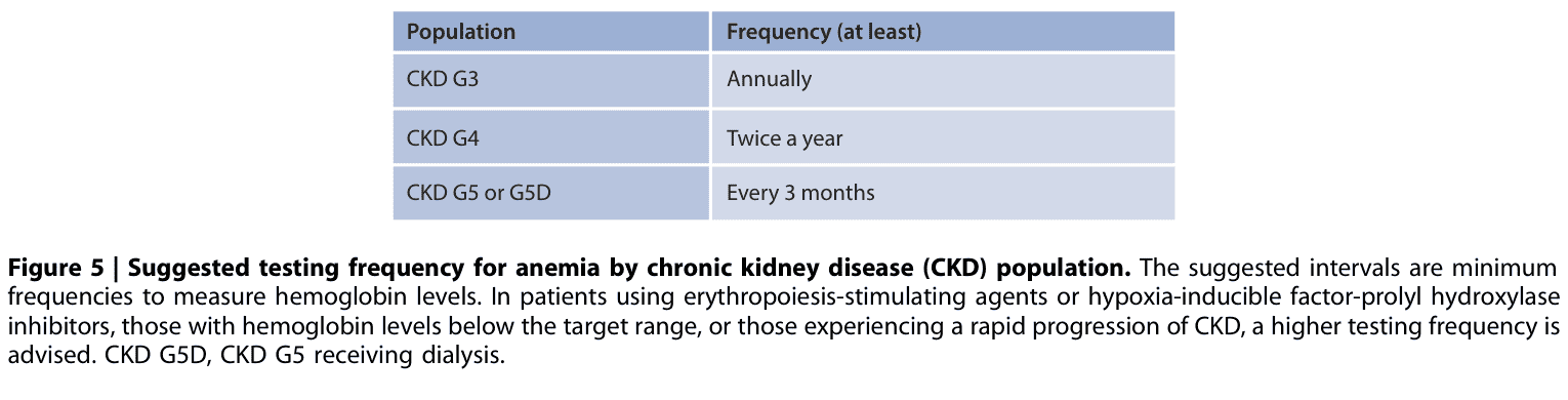 KDIGO anemia — Figure 5 各分期檢測頻率