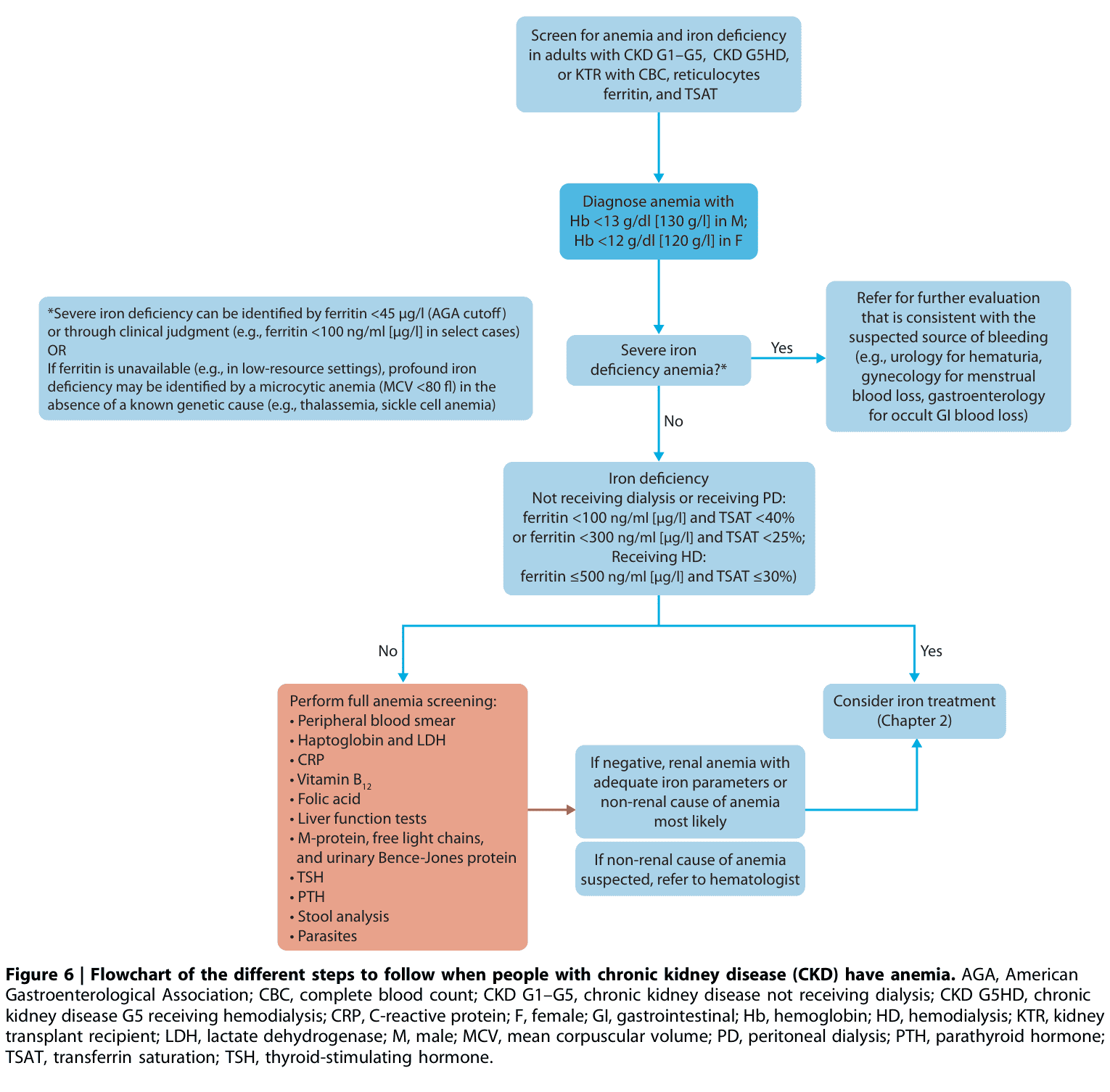 KDIGO anemia — Figure 6 貧血診斷流程