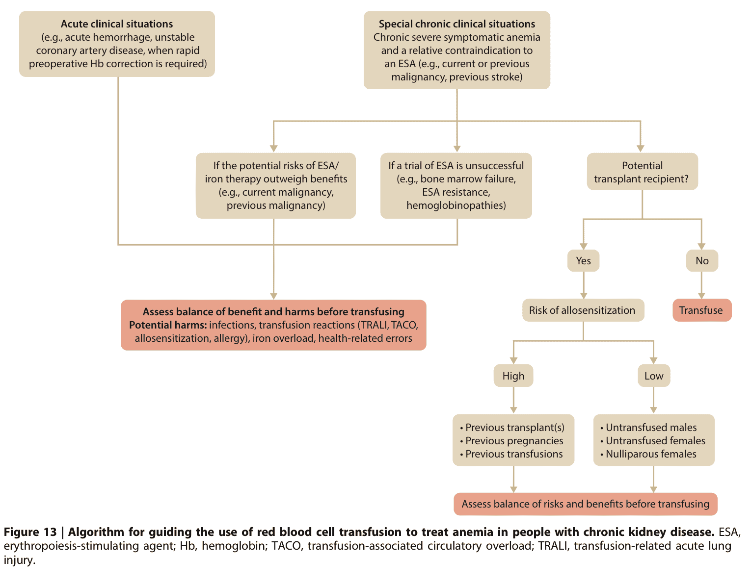 KDIGO anemia — Figure 13 輸血決策演算法