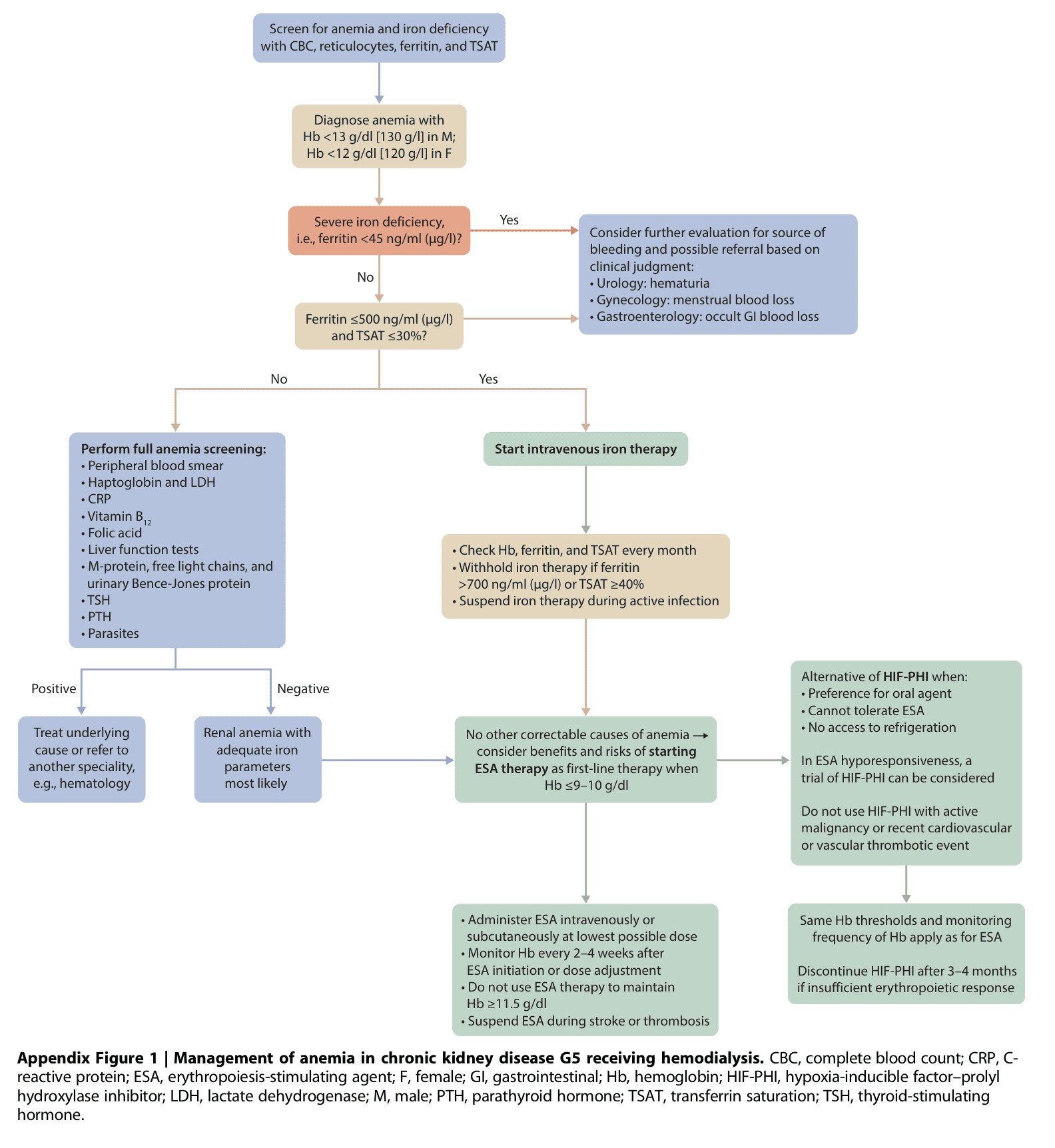 KDIGO anemia — Appendix Figure 1 HD 管理演算法