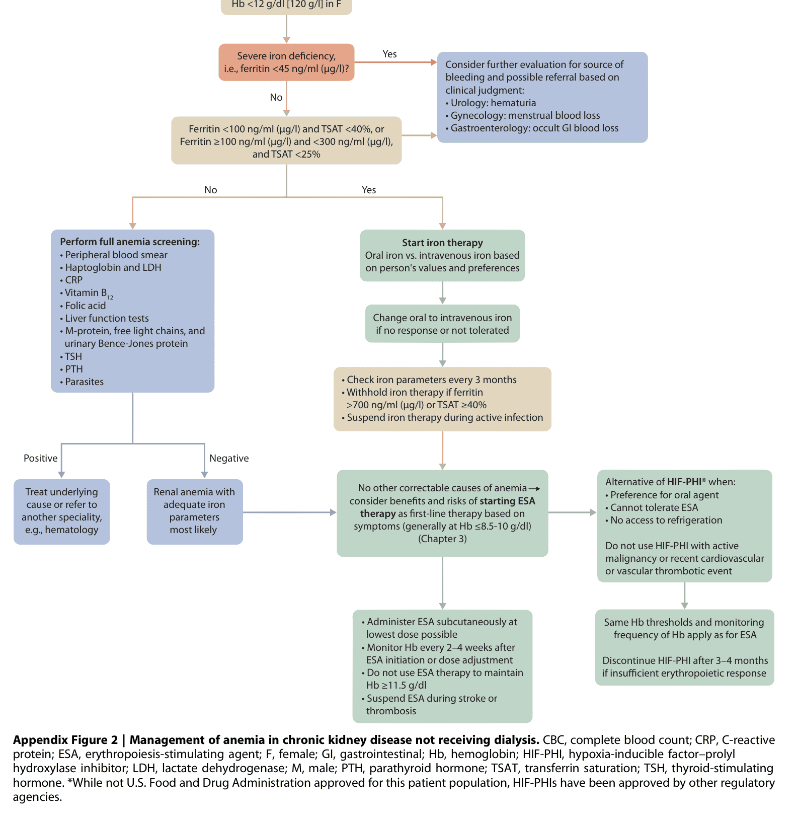 KDIGO anemia — Appendix Figure 2 非透析管理演算法