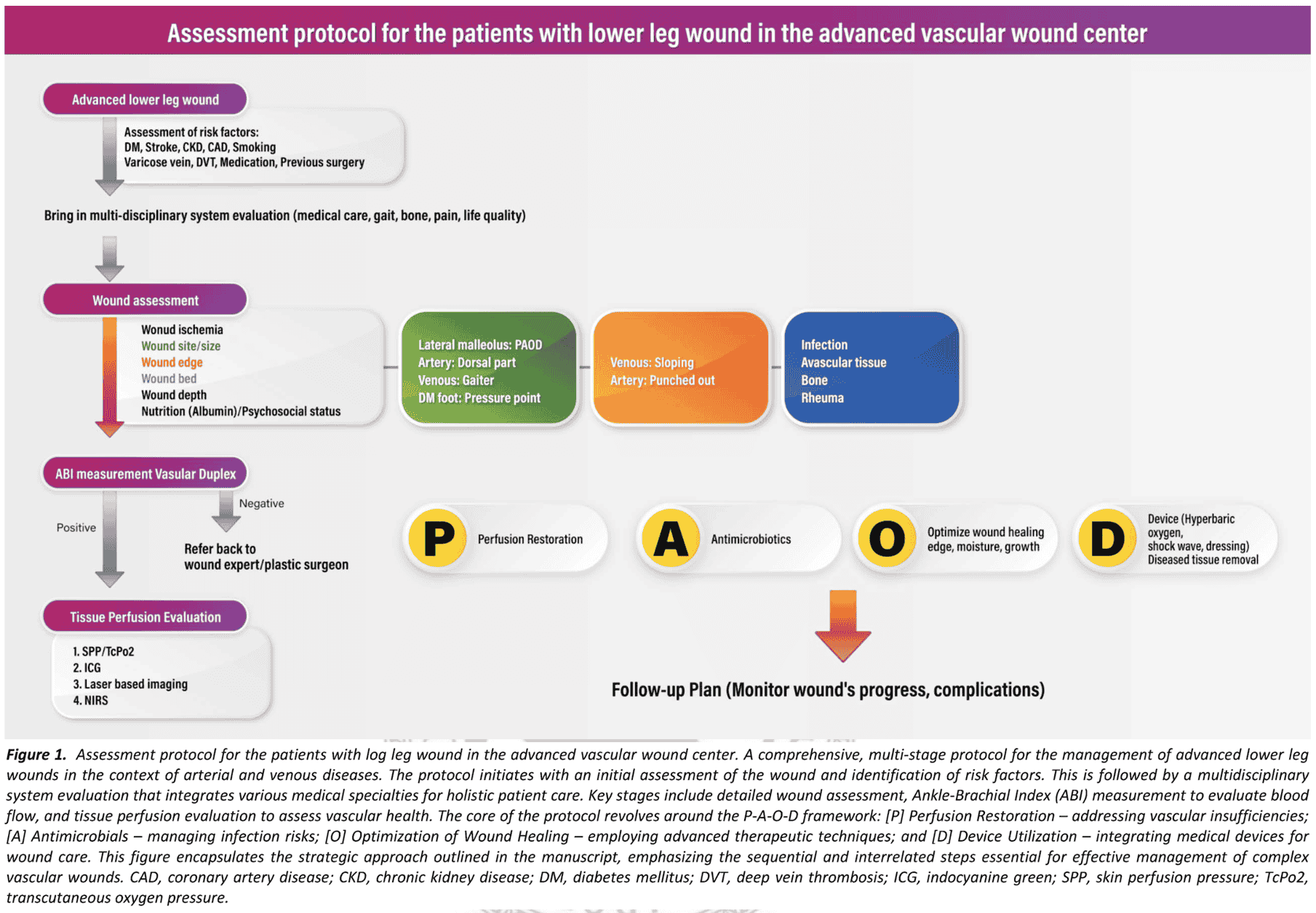 Figure 1 — Assessment protocol for patients with lower leg wound in the advanced vascular wound center