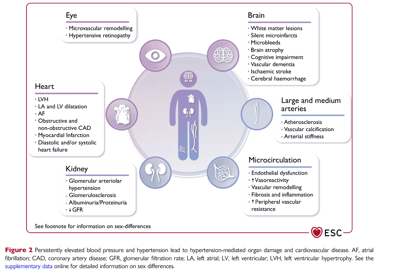ESC bp2024 — Figure 2