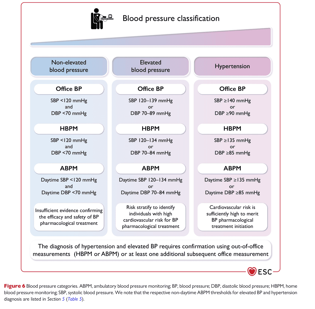 ESC bp2024 — Figure 6