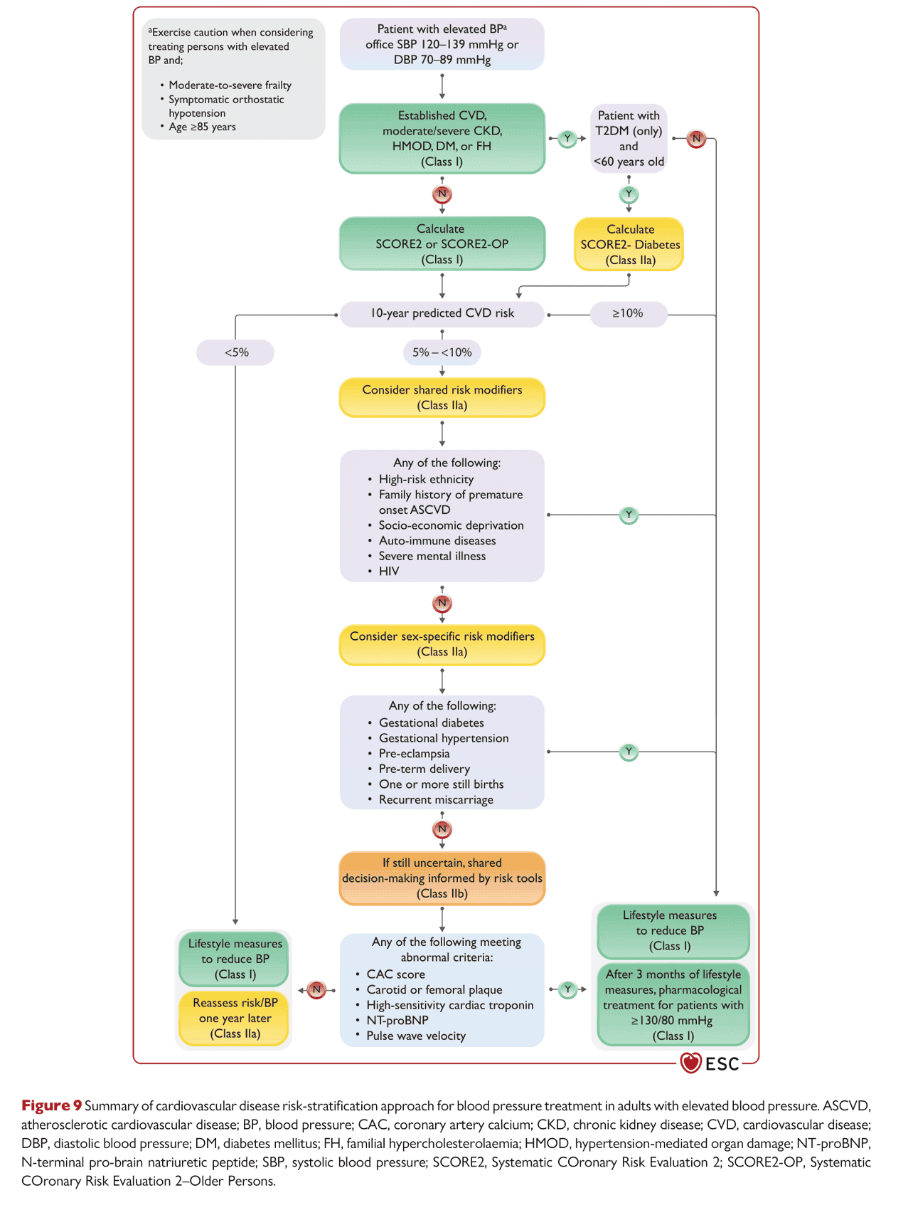 ESC bp2024 — Figure 9