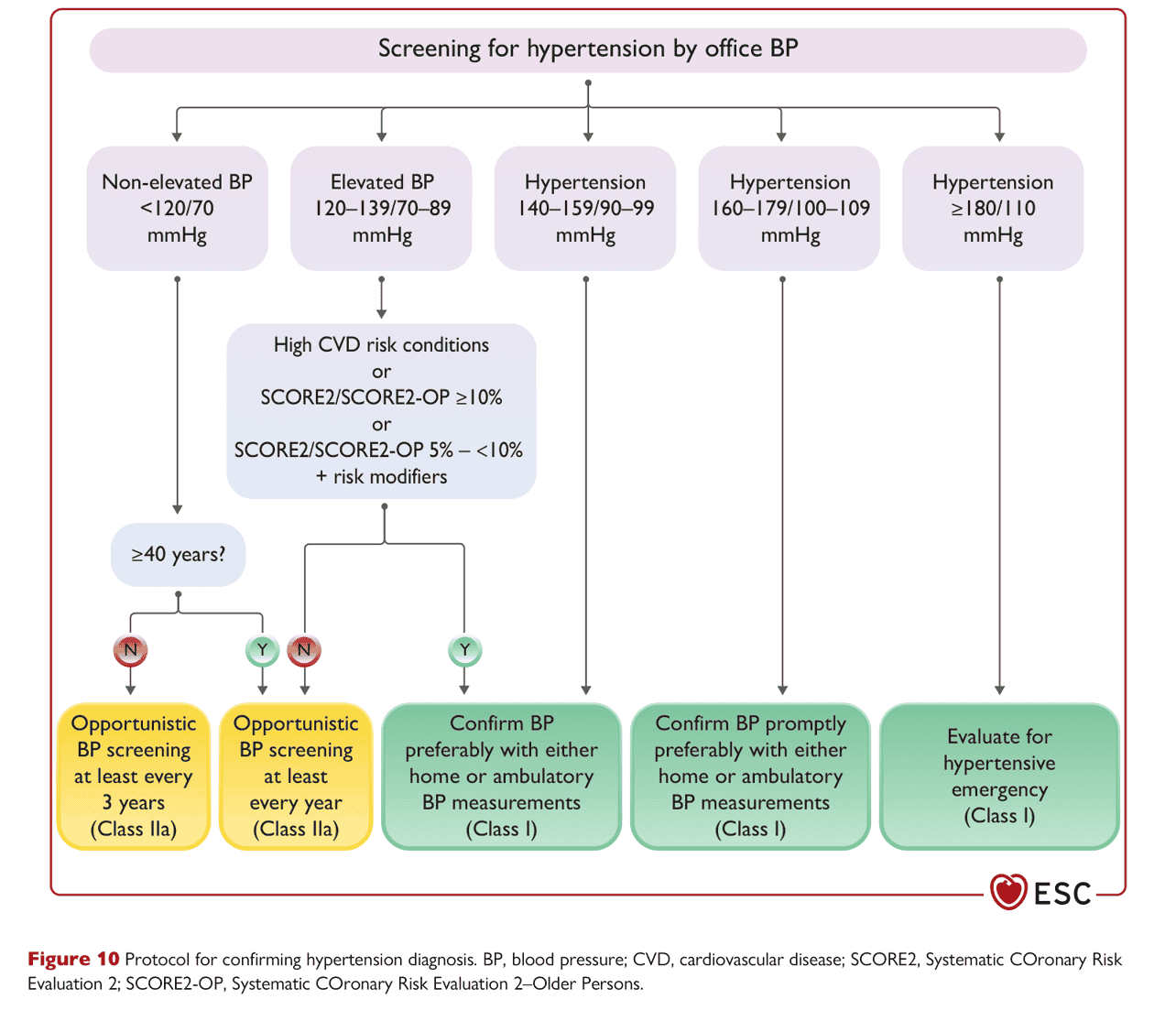 ESC bp2024 — Figure 10