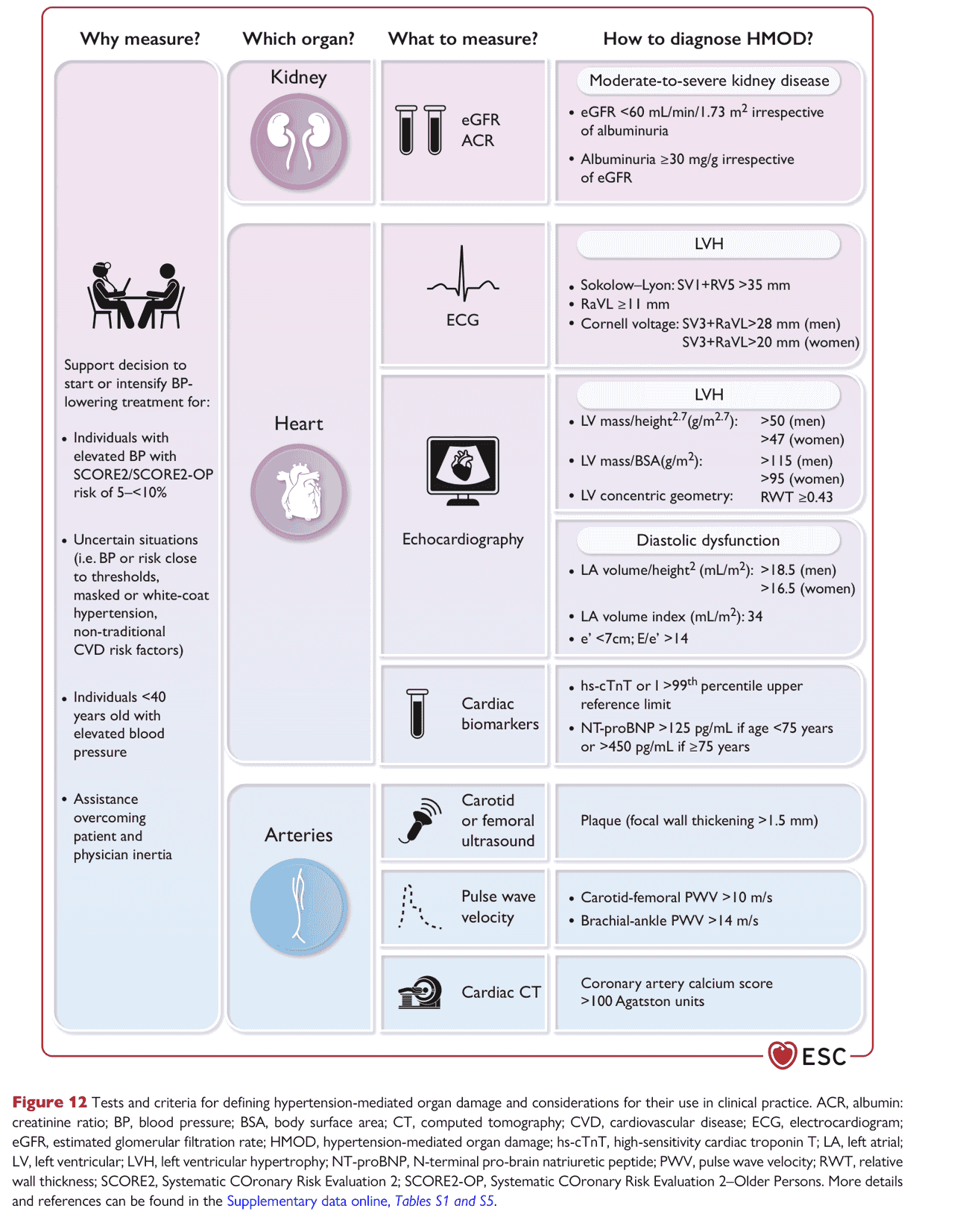 ESC bp2024 — Figure 12