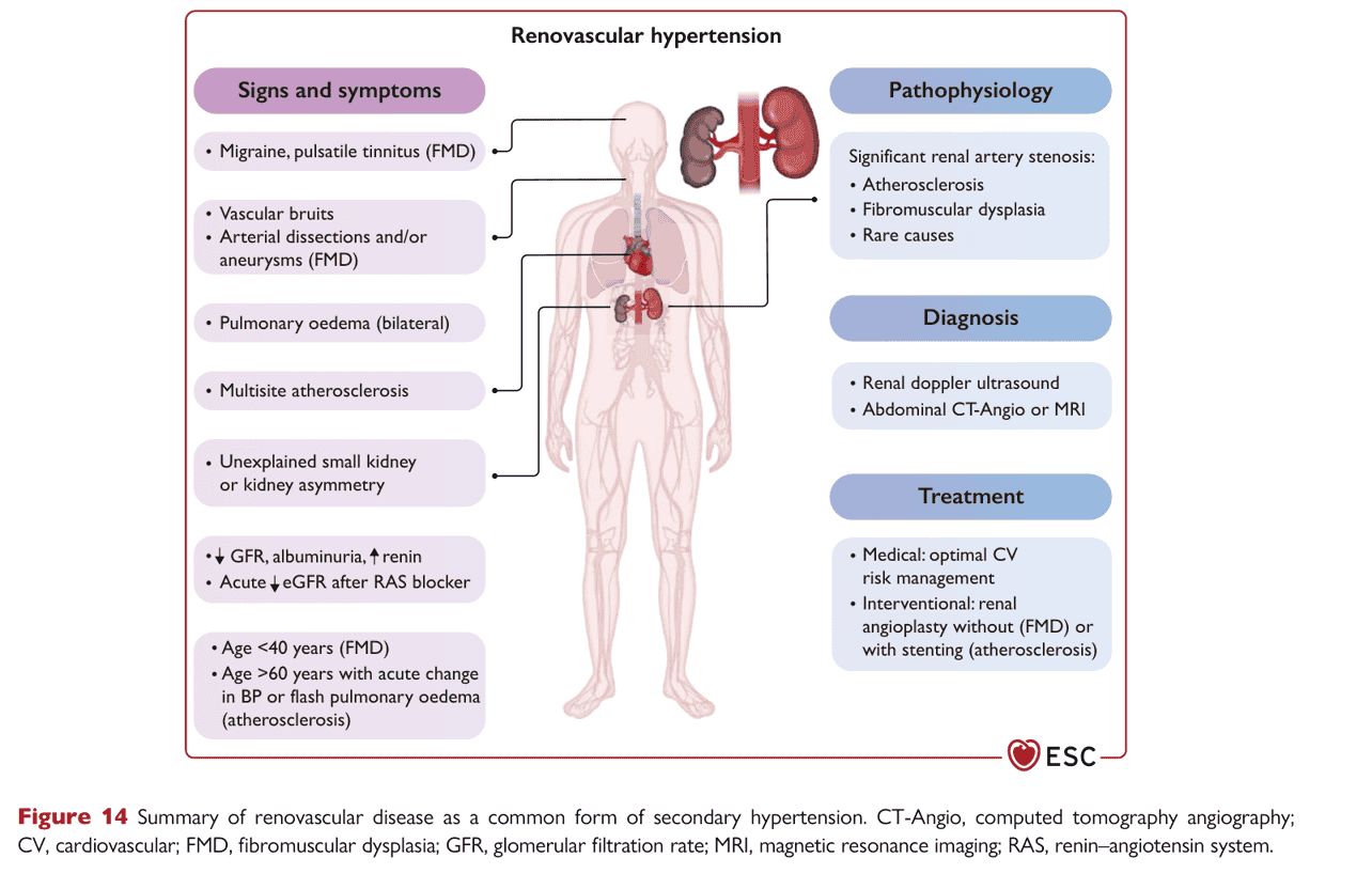 ESC bp2024 — Figure 14