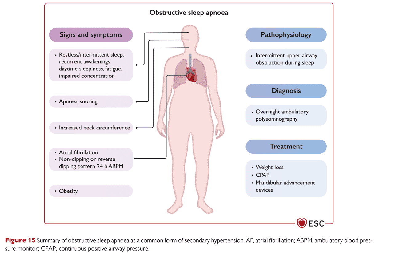 ESC bp2024 — Figure 15