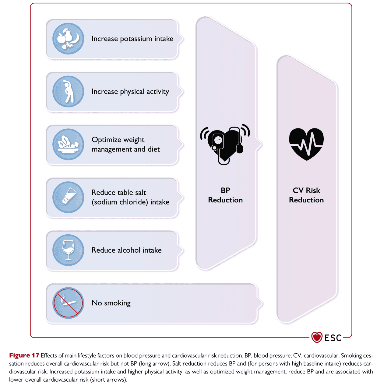 ESC bp2024 — Figure 17