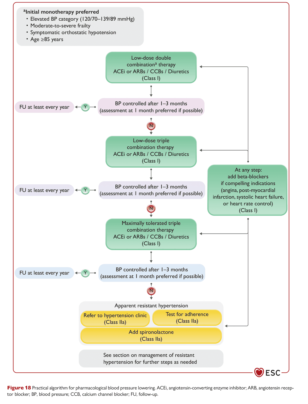 ESC bp2024 — Figure 18