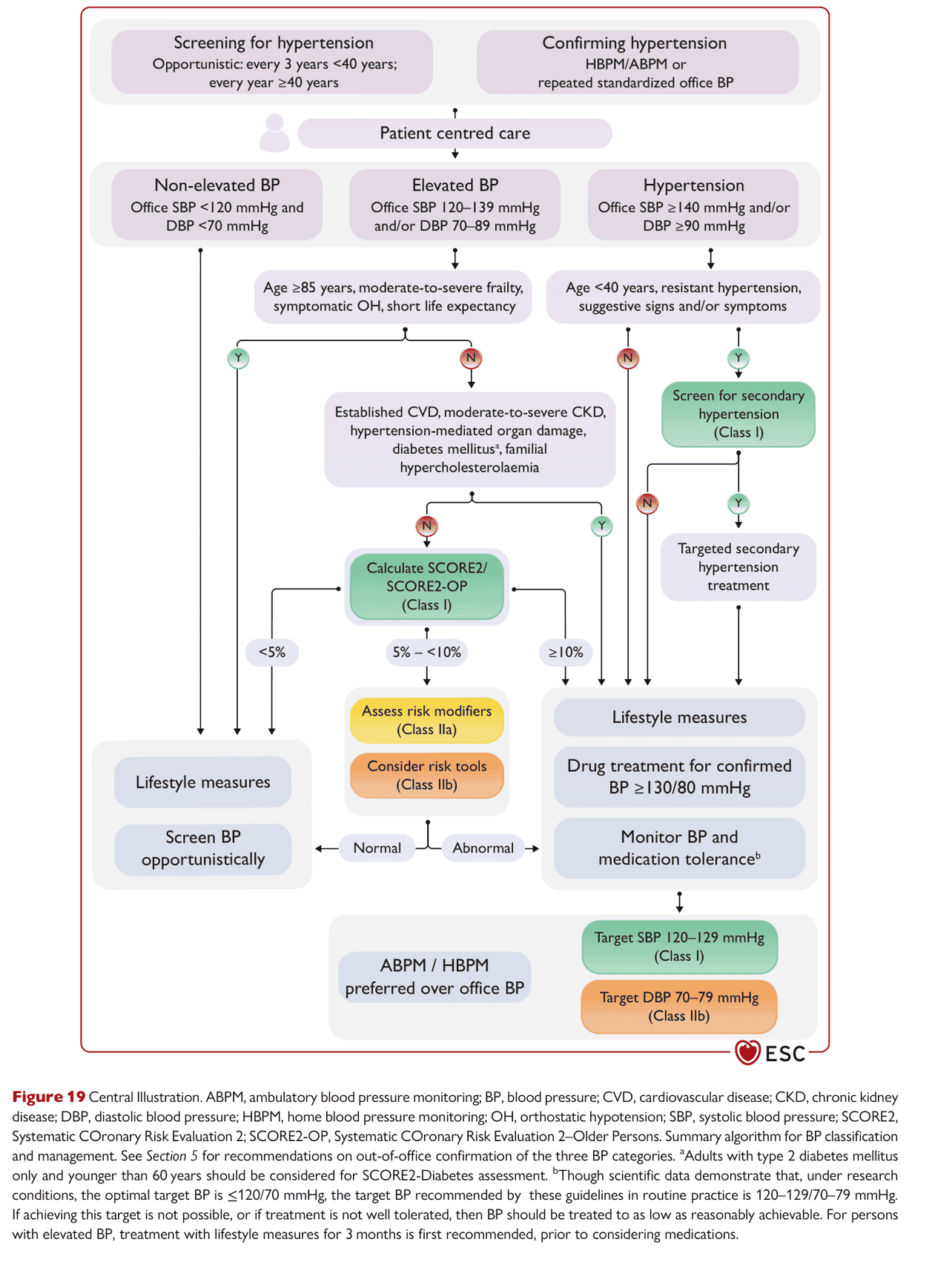 ESC bp2024 — Figure 19